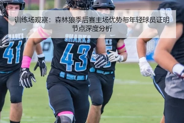 训练场观察：森林狼季后赛主场优势与年轻球员证明节点深度分析 | Kaiyun